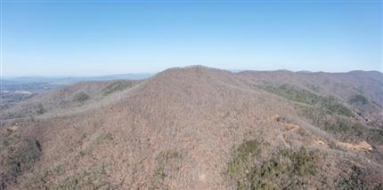 Photo of TBD Roach Cove Road, HAYESVILLE, NC 28904