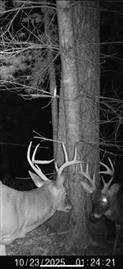 Photo of Shady Grove Rd, MURPHY, NC 28906
