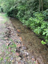Photo of West Road, ANDREWS, NC 28901