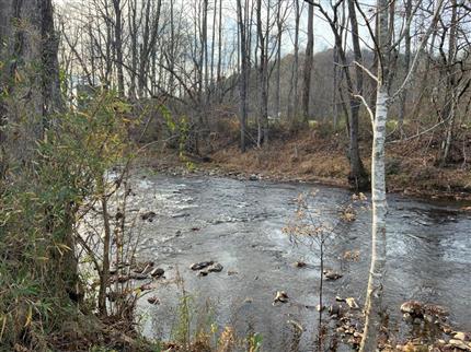 Photo of Main & Whitaker, ANDREWS, NC 28901