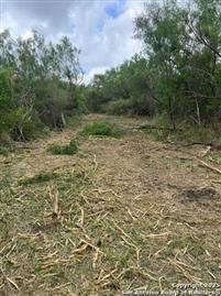 Photo of 1513 Old Highway 90, Castroville, TX 78009